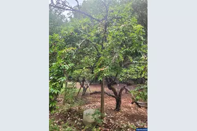 356 White Oak Dr, Cave Junction, OR 97523 - Photo 18