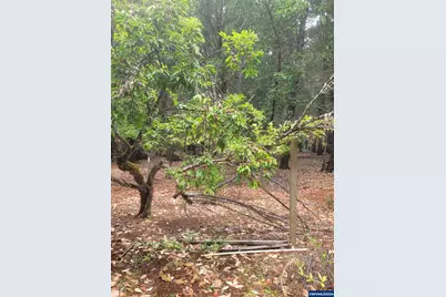 356 White Oak Dr, Cave Junction, OR 97523 - Photo 20