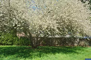 5555 Salinas Ct S, Salem, OR 97306 - Photo 40