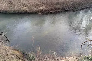 453 NE Yamhill St, Willamina, OR 97396 - Photo 16