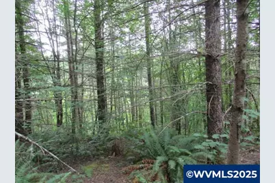 00 Gruber South Rd, Estacada, OR 97023 - Photo 22