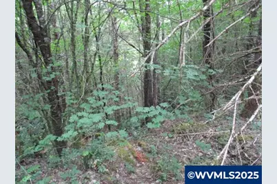 00 Gruber South Rd, Estacada, OR 97023 - Photo 26