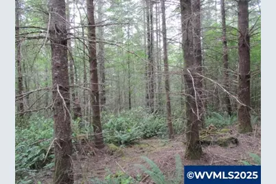 00 Gruber South Rd, Estacada, OR 97023 - Photo 20