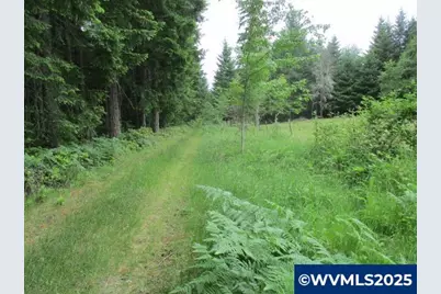 00 Gruber South Rd, Estacada, OR 97023 - Photo 4