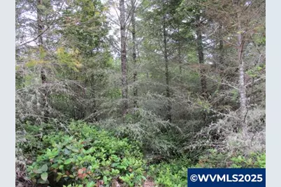 00 Gruber South Rd, Estacada, OR 97023 - Photo 28