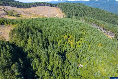 0 Bald Mountain Rd, Beaver, OR 97108 - Photo 12