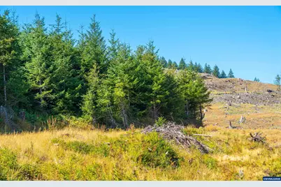 0 Bald Mountain Rd, Beaver, OR 97108 - Photo 24