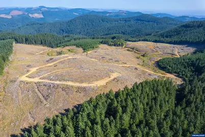 0 Bald Mountain Rd, Beaver, OR 97108 - Photo 2