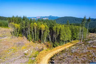 0 Bald Mountain Rd, Beaver, OR 97108 - Photo 14