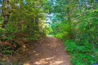 0 Bald Mountain Rd, Beaver, OR 97108 - Photo 26