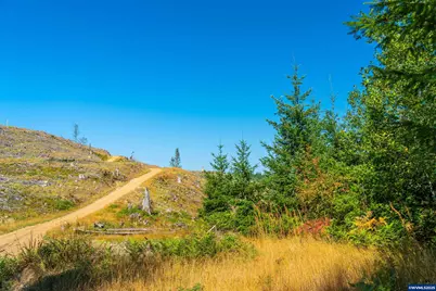 0 Bald Mountain Rd, Beaver, OR 97108 - Photo 28