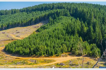 0 Bald Mountain Rd, Beaver, OR 97108 - Photo 30