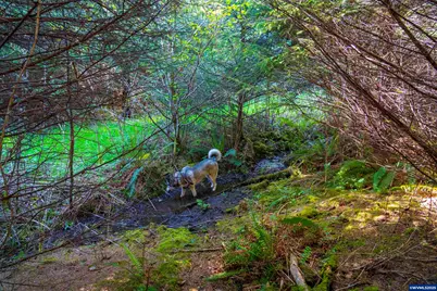 0 Elmer Miller Rd, Siletz, OR 97380 - Photo 14
