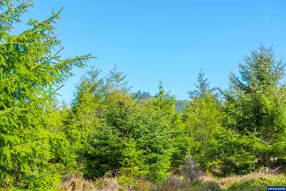 0 Elmer Miller Rd, Siletz, OR 97380 - Photo 16