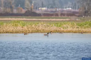 35308 Riverside Ln, Scappoose, OR 97056 - Photo 28