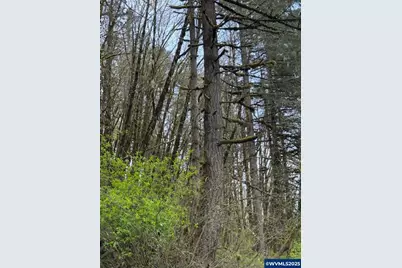0 Old Railroad Grade Rd, Yamhill, OR 97148 - Photo 8