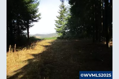 0 Hazelnut Ridge Rd, Scotts Mills, OR 97375 - Photo 18
