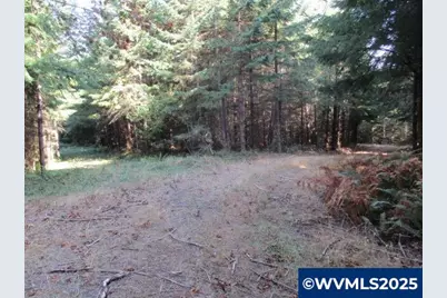 0 Hazelnut Ridge Rd, Scotts Mills, OR 97375 - Photo 10