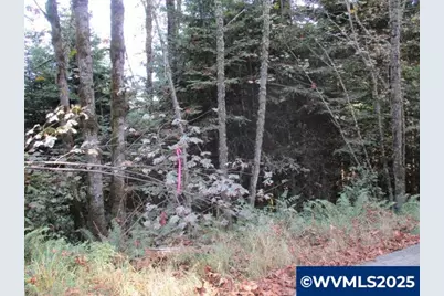 0 Hazelnut Ridge Rd, Scotts Mills, OR 97375 - Photo 22