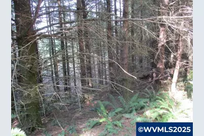0 Hazelnut Ridge Rd, Scotts Mills, OR 97375 - Photo 12
