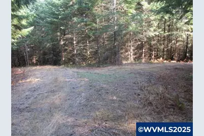 0 Hazelnut Ridge Rd, Scotts Mills, OR 97375 - Photo 14