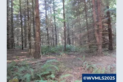 0 Hazelnut Ridge Rd, Scotts Mills, OR 97375 - Photo 6