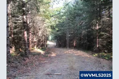 0 Hazelnut Ridge Rd, Scotts Mills, OR 97375 - Photo 16