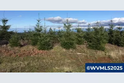 Oakdale Rd, Dallas, OR 97338 - Photo 2