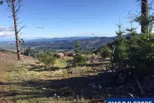 Oakdale Rd, Dallas, OR 97338 - Photo 1