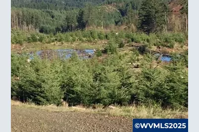 Oakdale Rd, Dallas, OR 97338 - Photo 4