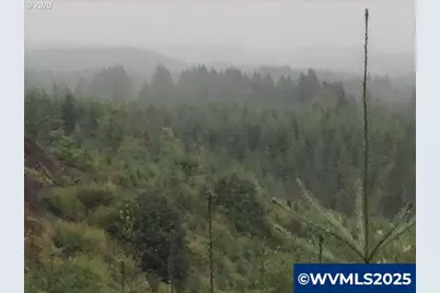 Nw Ridge Rd, Forest Grove, OR 97116 - Photo 8