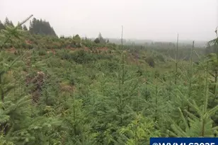 NW Ridge Rd, Forest Grove, OR 97116 - Photo 1