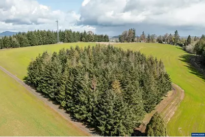 92884 Applegate Trail, Junction City, OR 97448 - Photo 4