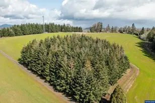 92884 Applegate Trail, Junction City, OR 97448 - Photo 4