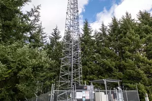 92884 Applegate Trail, Junction City, OR 97448 - Photo 8