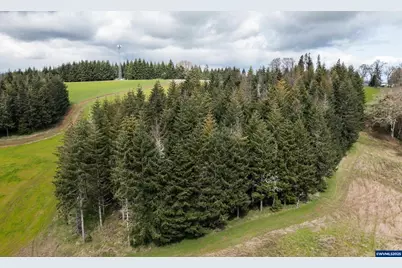 92884 Applegate Trail, Junction City, OR 97448 - Photo 18