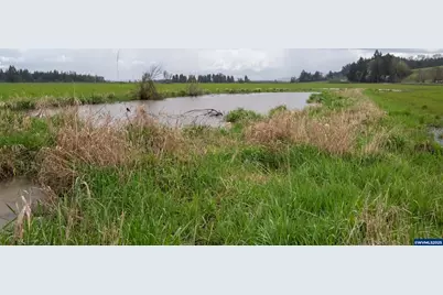 0 Applegate Trail, Junction City, OR 97448 - Photo 18