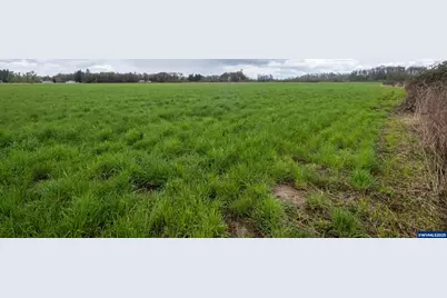 0 Applegate Trail, Junction City, OR 97448 - Photo 12