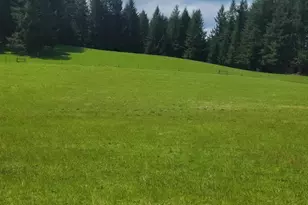 36706 Happy Hallow Rd, Blodgett, OR 97326 - Photo 2