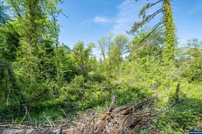 1400 Nandina St, Sweet Home, OR 97386 - Photo 30