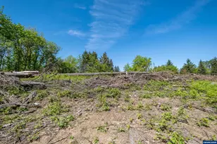 1400 Nandina St, Sweet Home, OR 97386 - Photo 28