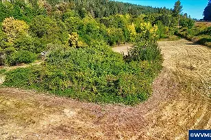 23998 Hwy 20, Philomath, OR 97370 - Photo 30