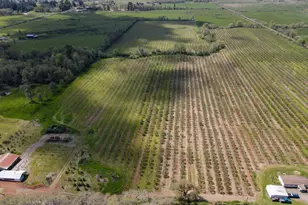 34974 Richardson Gap Rd, Lebanon, OR 97355 - Photo 8