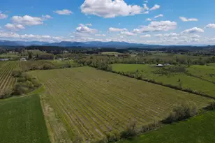 34974 Richardson Gap Rd, Lebanon, OR 97355 - Photo 20