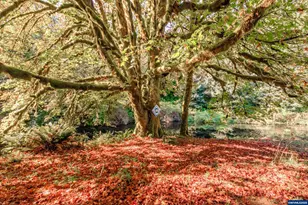 9602 Harlan Rd, Eddyville, OR 97343 - Photo 42
