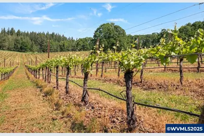 4736 Marion Hill Rd SE, Turner, OR 97392 - Photo 50