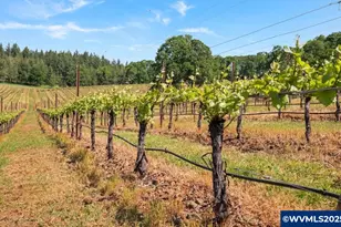 4736 Marion Hill Rd SE, Turner, OR 97392 - Photo 50