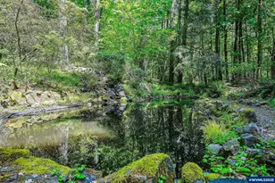 410 50th Ave NW, Salem, OR 97304 - Photo 42