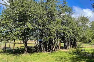 24291 SW Rogers Rd, Sheridan, OR 97378 - Photo 32