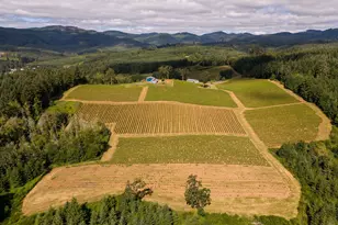 12000 NW Old Wagon Rd, Carlton, OR 97111 - Photo 20